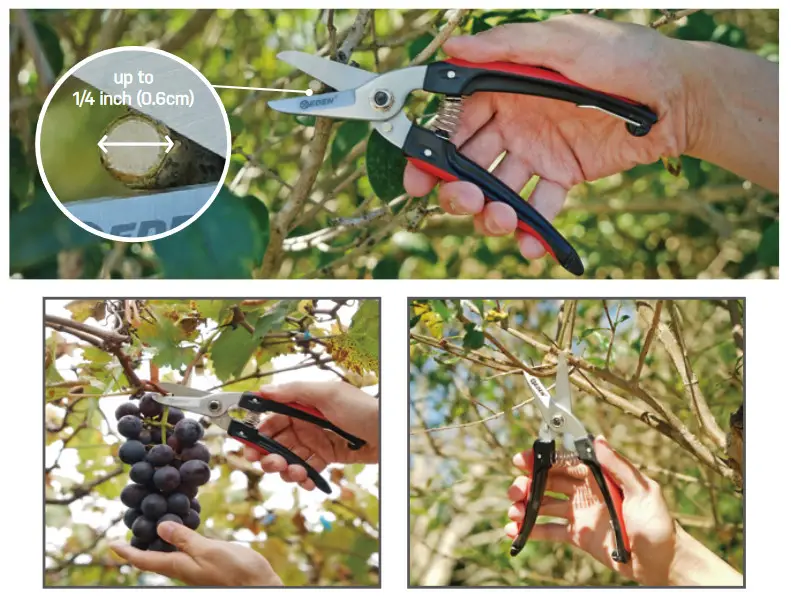 EDEN 39006EDAMZ 14 Inch Trimming Shears - cutting diameter