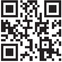 df-models-3127-RC-Buggy-RTR-FIG-23