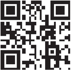 df-models-3127-RC-Buggy-RTR-FIG-29