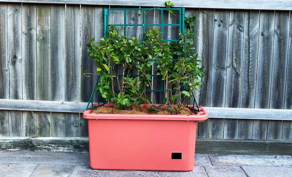 Green Life Mobile Vege Patch With Self Watering Pot Instruction Manual