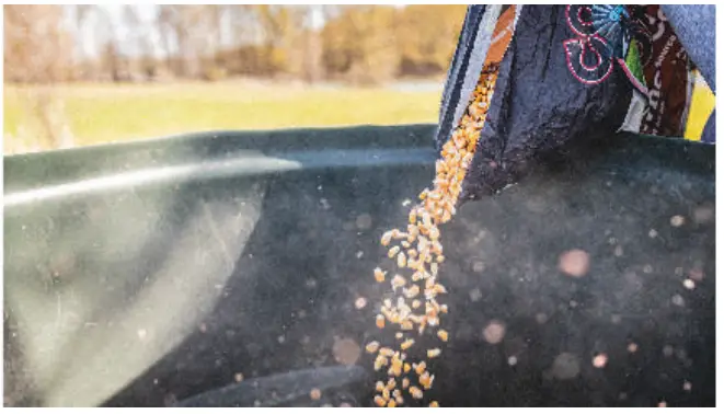 FeraDyne 400 Capsule Feeder - Figure 2