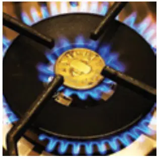 Steel AQ12SF6TBAO 120cm Upright Cooker - EMILY DICKINSON 6