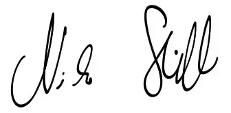 STIHL MS 500i Professional Chainsaw - signature