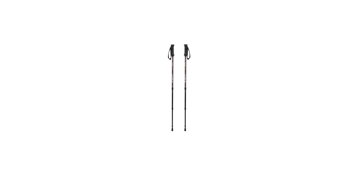 Insportline 24700 Trekking Pole Caretera User Manual