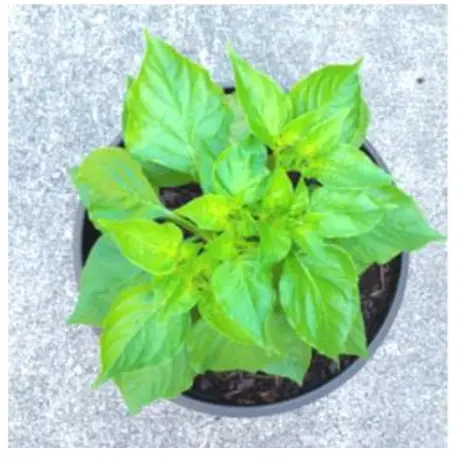 Assembly and Installation Instructions