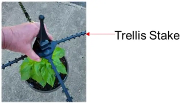 Assembly and Installation Instructions