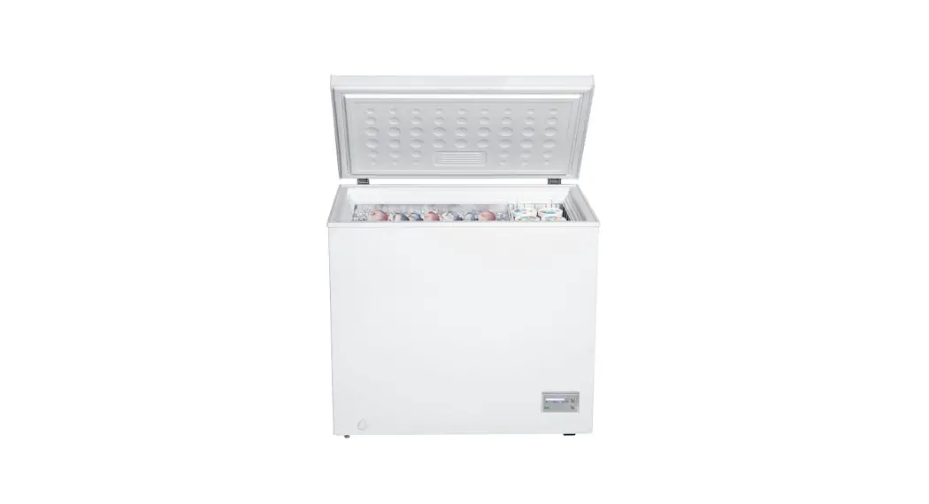 Guzzanti Gz-91 Freezer Instruction Manual