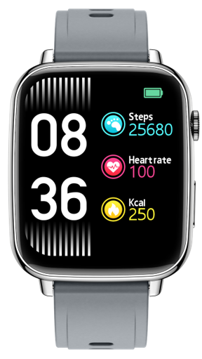 Shenzhen DO Intelligent Technology Co Ltd IDW16 Smart Watch