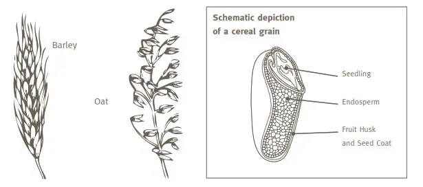 KoMo DeliverDeli Eco Grain Mill - fig 12