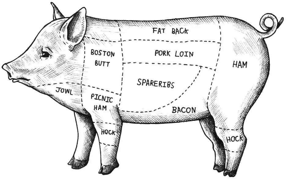 BULLET 566 sq Inch Outdoor Convection Charcoal Barbecue Smoker - Cooking food processor.