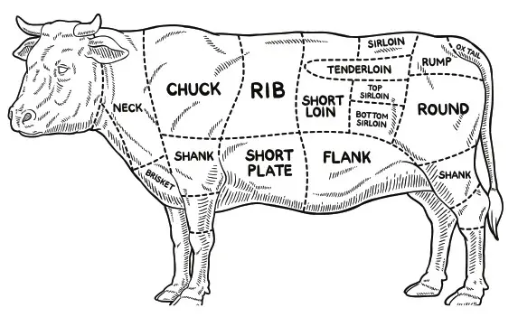 BULLET 566 sq Inch Outdoor Convection Charcoal Barbecue Smoker - Garlic Powder