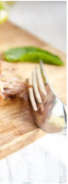 BULLET 566 sq Inch Outdoor Convection Charcoal Barbecue Smoker - Lemons racipi 5