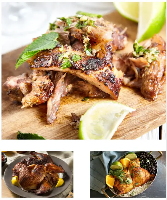 BULLET 566 sq Inch Outdoor Convection Charcoal Barbecue Smoker - Lemons racipi