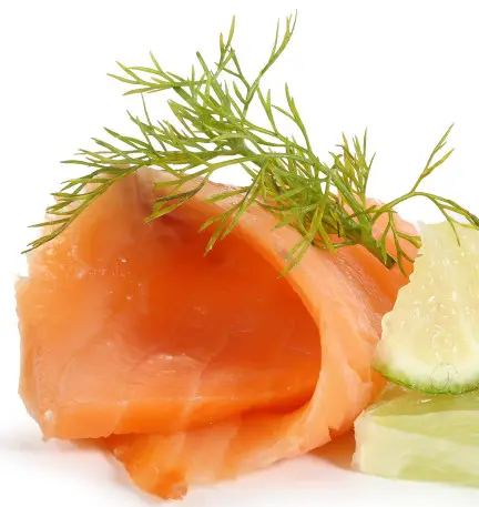 BULLET 566 sq Inch Outdoor Convection Charcoal Barbecue Smoker - Lemons