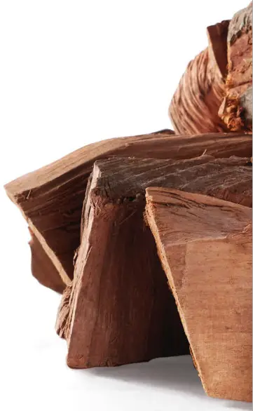 BULLET 566 sq Inch Outdoor Convection Charcoal Barbecue Smoker - Wood Chip