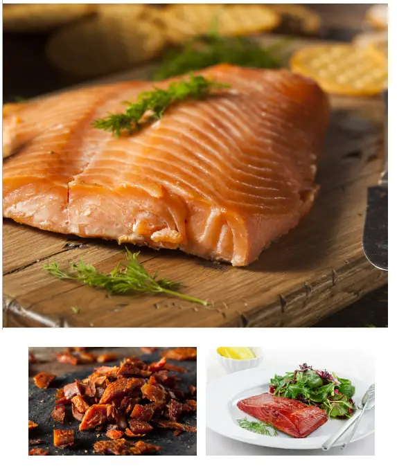 BULLET 566 sq Inch Outdoor Convection Charcoal Barbecue Smoker - Wood Chipp