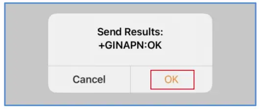 solis W4G Datalogger Stick Instruction - “APNSetting 2