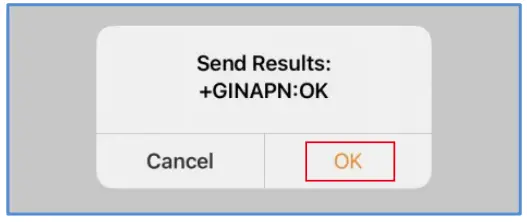 solis W4G Datalogger Stick Instruction - “APNSetting 5