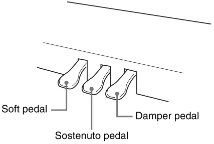 CASIO PX-765 Digital Piano - Digital Piano 2
