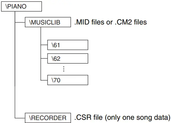 CASIO PX-765 Digital Piano - Digital Piano memory