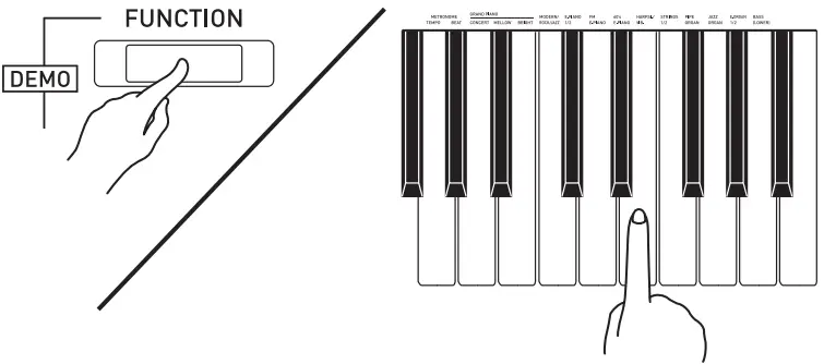 CASIO PX-765 Digital Piano - FUNCTION Button
