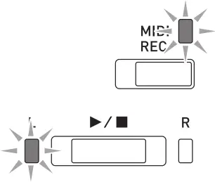 CASIO PX-765 Digital Piano - L lamp