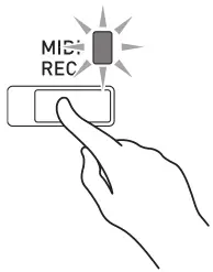 CASIO PX-765 Digital Piano - MIDI REC lamp