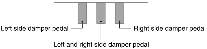 CASIO PX-765 Digital Piano - Pedals