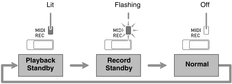 CASIO PX-765 Digital Piano - REC Button