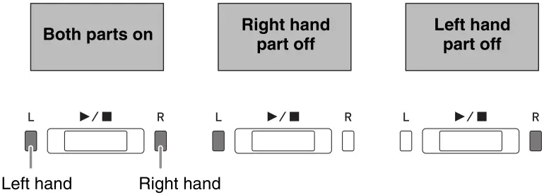 CASIO PX-765 Digital Piano - holding down