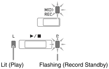 CASIO PX-765 Digital Piano - record track
