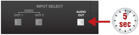 Setting a Dynamic IP Address