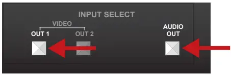 Setting a Dynamic IP Address