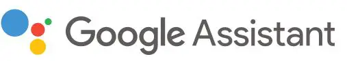 Google assistant logo