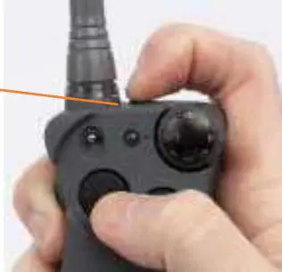 Dog Finding Recognition