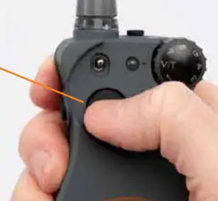 Dog Finding Recognition