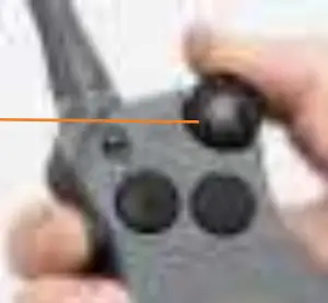 Dog Finding Recognition