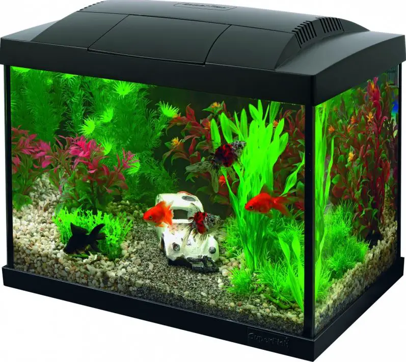 SuperFish Start 20 Goldfish Aquarium Kit-product