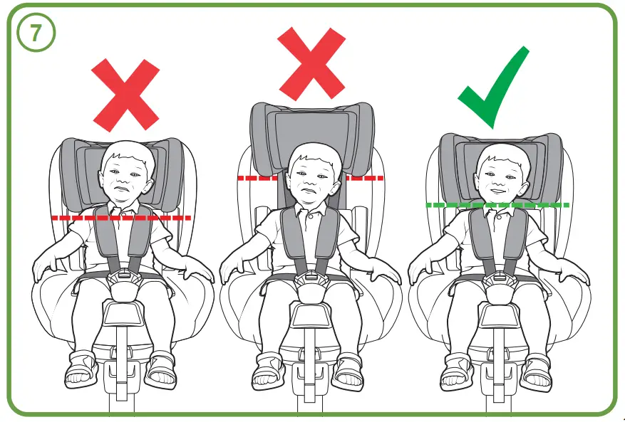 Assembly Instruction