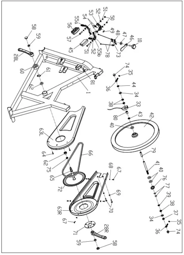 BodyMax-B15-Spinning-Bike-2