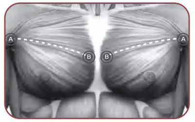 Bob-AND-Brad-D6-Pro-C-Massage-Gun-16