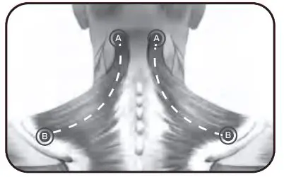 Bob-AND-Brad-D6-Pro-C-Massage-Gun-18