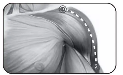 Bob-AND-Brad-D6-Pro-C-Massage-Gun-20