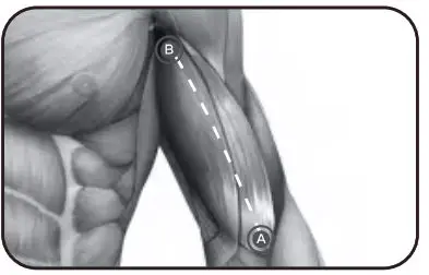 Bob-AND-Brad-D6-Pro-C-Massage-Gun-21