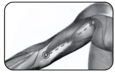 Bob-AND-Brad-D6-Pro-C-Massage-Gun-22