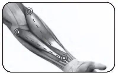 Bob-AND-Brad-D6-Pro-C-Massage-Gun-23