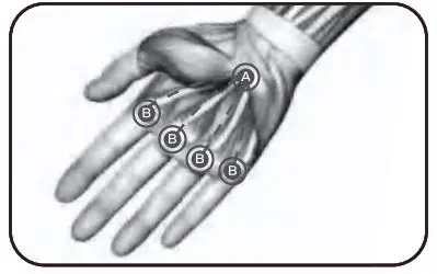 Bob-AND-Brad-D6-Pro-C-Massage-Gun-24