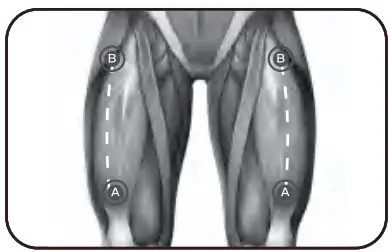 Bob-AND-Brad-D6-Pro-C-Massage-Gun-25