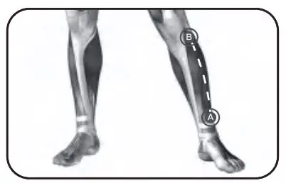 Bob-AND-Brad-D6-Pro-C-Massage-Gun-26