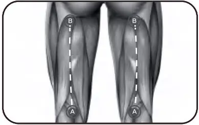 Bob-AND-Brad-D6-Pro-C-Massage-Gun-28